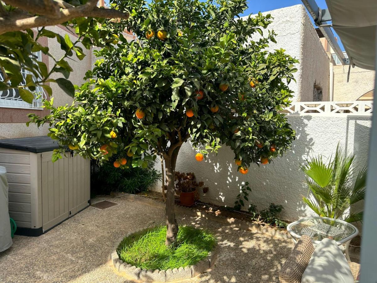 Large Villa Private Pool And Garden Near Beach 로쿠타스드마르 외부 사진